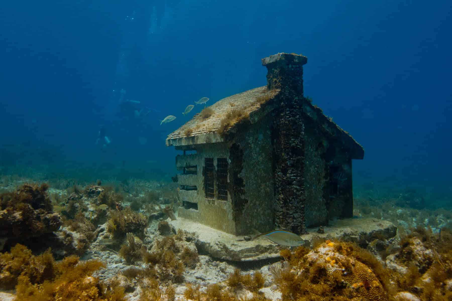 'Urban Reef House' de Jason deCaires Taylor