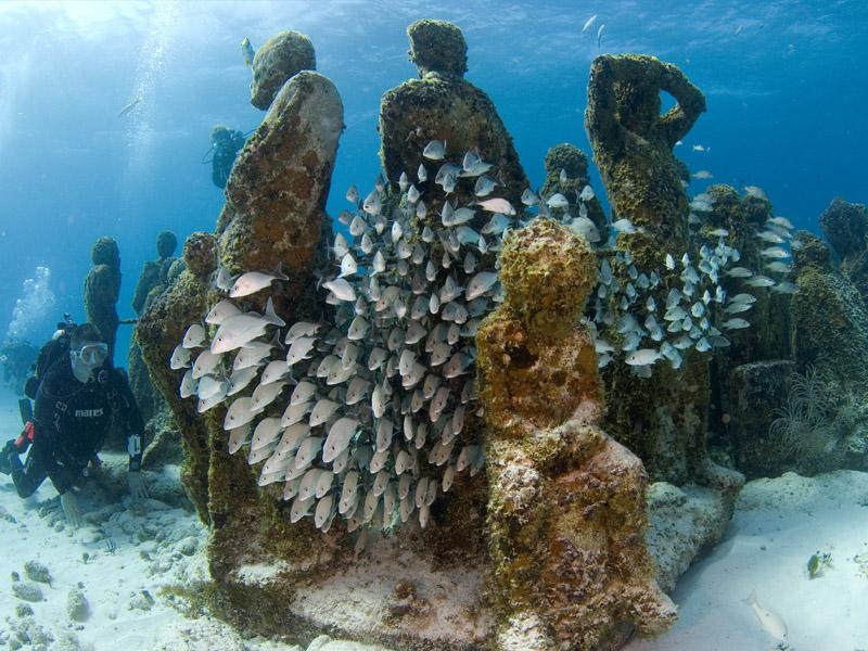 dive-cancun-underwater-museum-musa-1L6Y