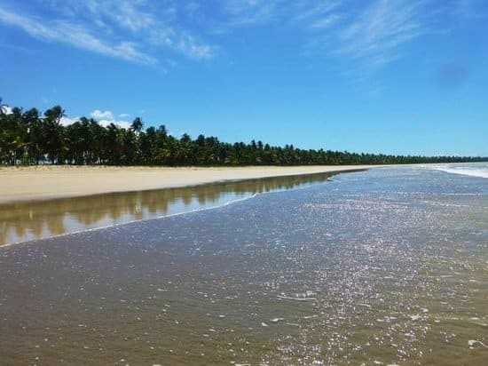 Praia do Morro | Fonte: TripAdvisor